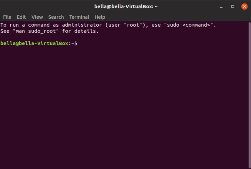 Image of the Linux Terminal